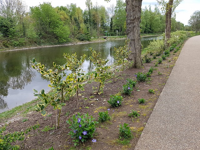 Victoria Park, Belfast